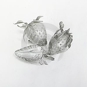 Realistic pencil drawing of strawberries