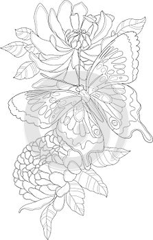 Realistic peony flowers and butterfly graphic sketch template. Spring season cartoon vector illustration in black and white