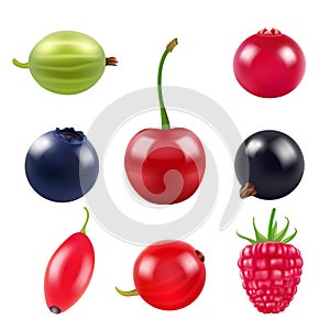 Realistic pictures of berries. Various fresh fruits