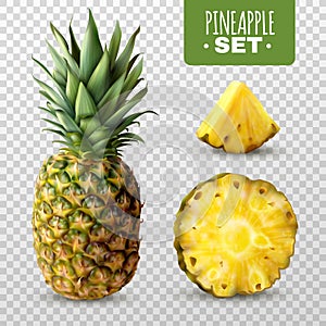 Realistic Pineapple Set