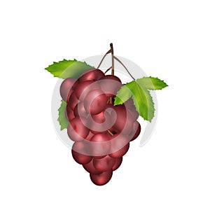 Realistic pink grape with green leaves. Icon of fresh grape bunch ripe. Tasty seasonal fruit berry
