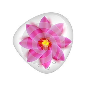Realistic pink lotus flower under clear water drop