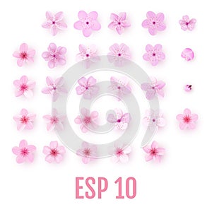 Realistic pink sakura petals icon set. Cherry flowers