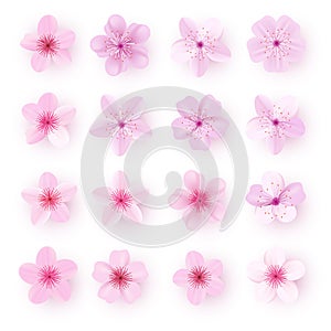 Realistic pink sakura petals icon set. Cherry flowers