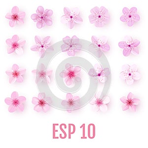 Realistic pink sakura petals icon set. Cherry flowers