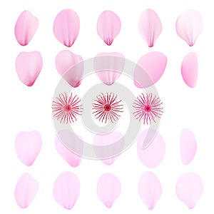 Realistic pink sakura petals icon set. Cherry petals