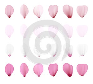 Realistic pink sakura petals icon set. Gradient mesh 3d cherry petals. Vector illustration