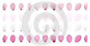 Realistic pink sakura petals icon set. Gradient mesh 3d cherry petals. Vector illustration