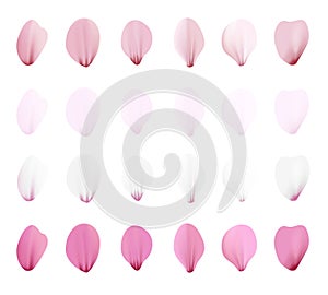 Realistic pink sakura petals icon set. Gradient mesh 3d cherry petals. Vector illustration