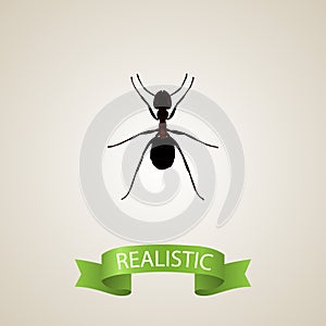 Realistic Pismire Element. Vector Illustration Of Realistic Ant Isolated On Clean Background. Can Be Used As Pismire