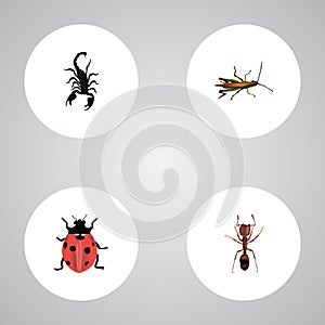 Realistic Poisonous, Ladybird, Emmet And Other Vector Elements. Set Of Bug Realistic Symbols Also Includes Poisonous