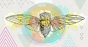Realistic and polygonal cicada illustration on artistic watercolor background. Astrology zodiac sign