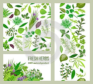 Realistic popular culinary herbs. Labels set. Shop sign. Stripes and cards