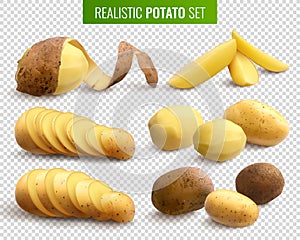 Realistic Potato Set