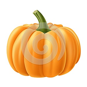 Realistic pumpkin illustration for autumn and Halloween