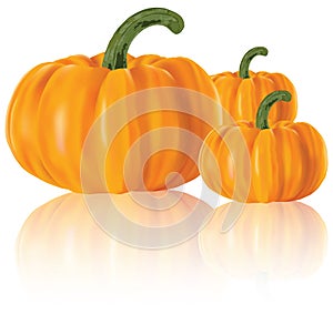 Realistic pumpkins photo