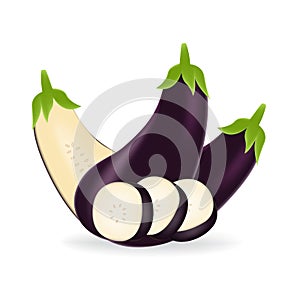 Realistic purple eggplant isolated on a white background