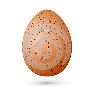 Realistic quail egg isolated on white