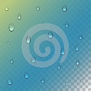 Realistic rain drops on transparent background. Clean water drop condensation. Vector illustration.