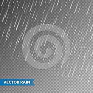 Realistic rain texture on transparent background. Rainfall, water drops effect. Autumn wet rainy day. Vector