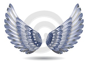 realistic rainbow angel wings isolated - 3d illustration.