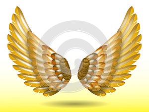 realistic rainbow angel wings isolated - 3d illustration.