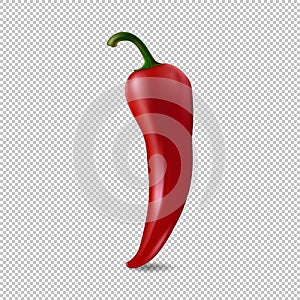 Realistic red chilli pepper icon isolated on transparent background. Design template of food closeup in vector.