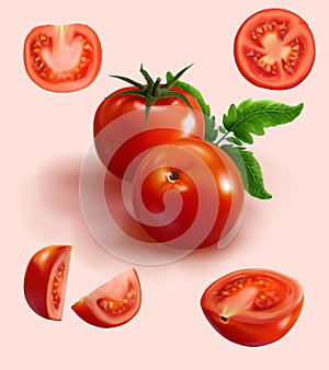 Realistic red tomato in various cut