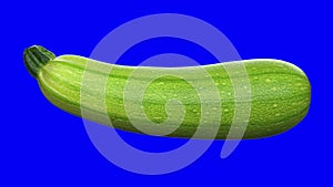 Realistic render of a rotating zucchini on transparent background with alpha channel . The video is seamlessly looping