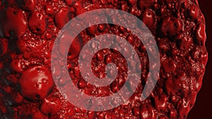 Realistic rendering of bacteria - in red colors