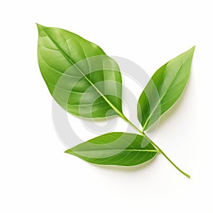 Realistic Rendering Of Green Tea Leaves On White Background