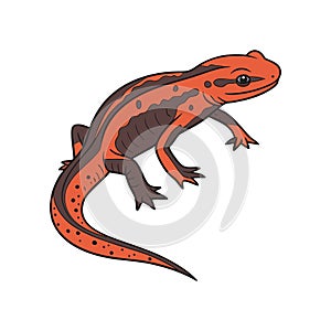 Realistic Representation of Chinese Fire-Bellied Newt photo
