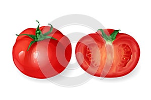 realistic round tomato vegetable