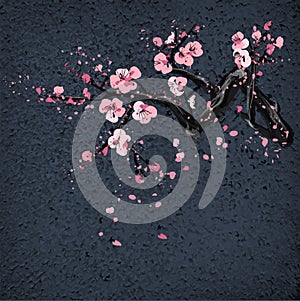 Realistic sakura blossom on grang background.