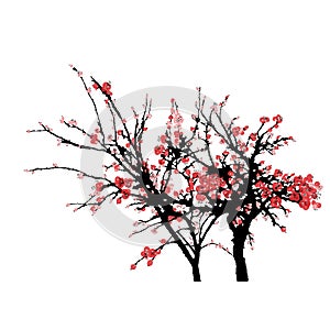 Realistic sakura blossom isolated on white background. Japanese cherry tree vector illustration. Vector