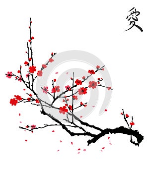 Realistic sakura blossom - Japanese cherry tree