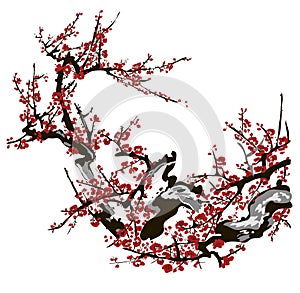 Realistic sakura blossom - Japanese cherry tree