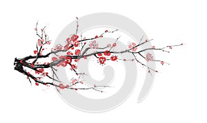 Realistic sakura blossom - Japanese cherry tree isolated on white background. Artistic branch sakura blossom. Vector