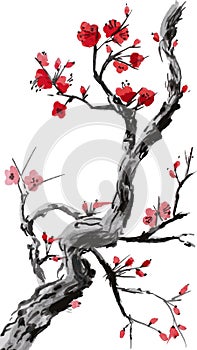 Realistic sakura blossom - Japanese cherry tree isolated on white background. Cherry Blossom. Pink sakura flowers