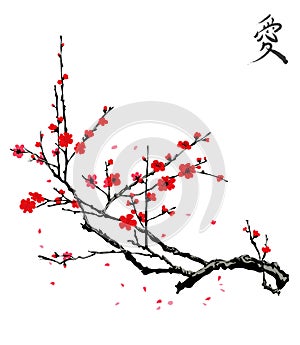 Realistic sakura blossom - Japanese cherry tree