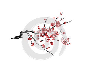 Realistic sakura blossom - Japanese cherry tree isolated on white background - Vector