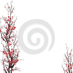 Realistic sakura blossom - Japanese cherry tree template blank isolated on white background - Vector