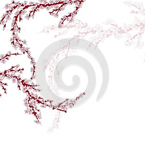 Realistic sakura japan cherry branch with blooming flowers. EPS 10 vector file included