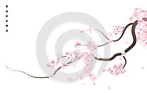 Realistic sakura japan cherry branch with blooming flowers. Vector illustration