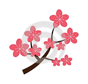 Realistic sakura japan cherry branch with blooming flowers vector illustration.