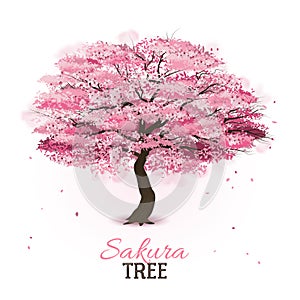 Realistic sakura tree