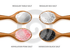 Realistic salt types. Cooking crystals and powder, different sea natural product in woden spoon, organic dry grains top view, pink