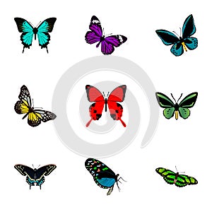 Realistic Sangaris, Tropical Moth, Morpho Hecuba And Other Vector Elements. Set Of Moth Realistic Symbols Also Includes