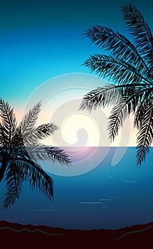 Realistic sea sunset on the background of palm trees - Vector