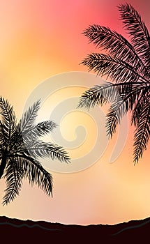 Realistic sea sunset on the background of palm trees - Vector